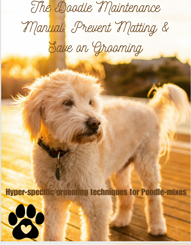 The Doodle Maintenance Manual: Prevent Matting & Save on Grooming